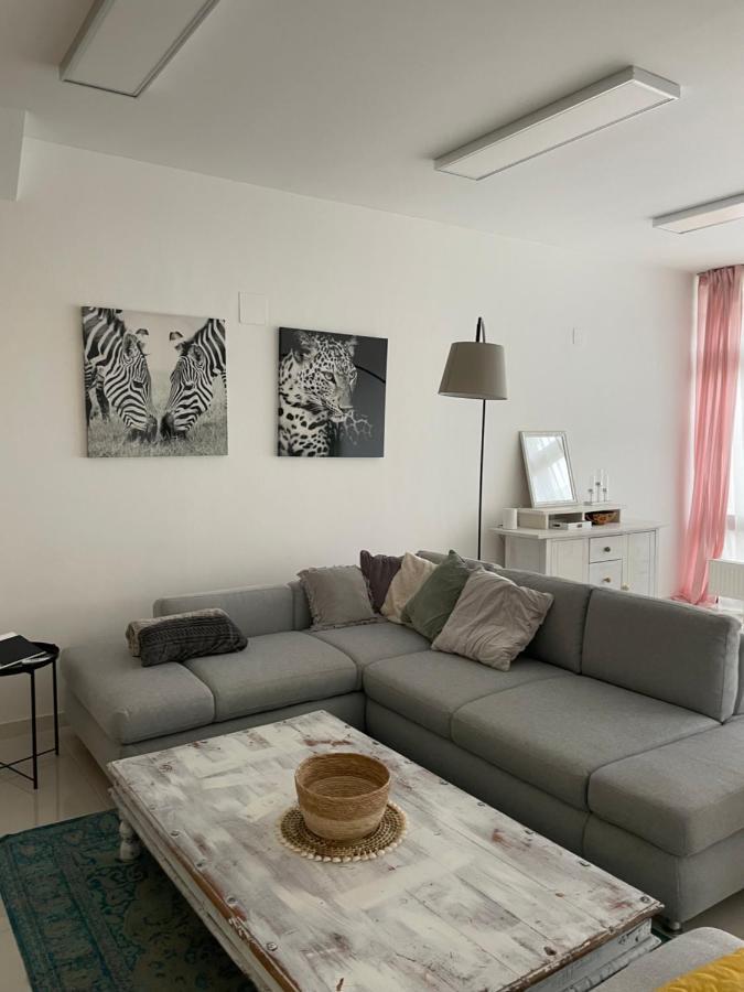 Stadtsuite Mit Sauna In Wiener Neustadt 135 M2 Экстерьер фото