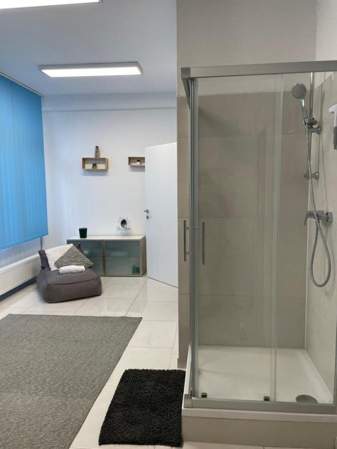 Stadtsuite Mit Sauna In Wiener Neustadt 135 M2 Экстерьер фото